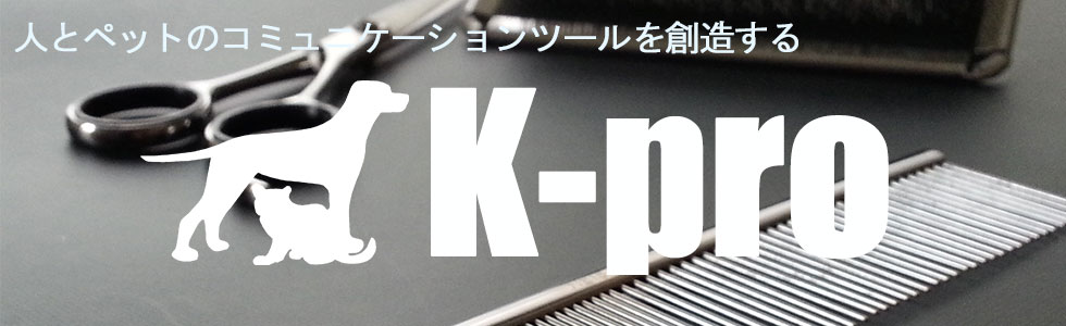 K-pro 株式会社ケイプロ|